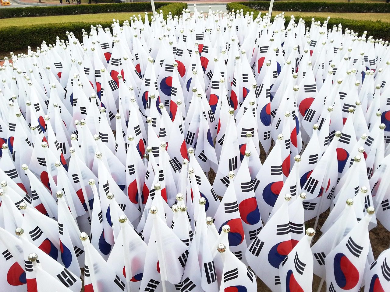 South Korean Student Visa Success Rate Nepal