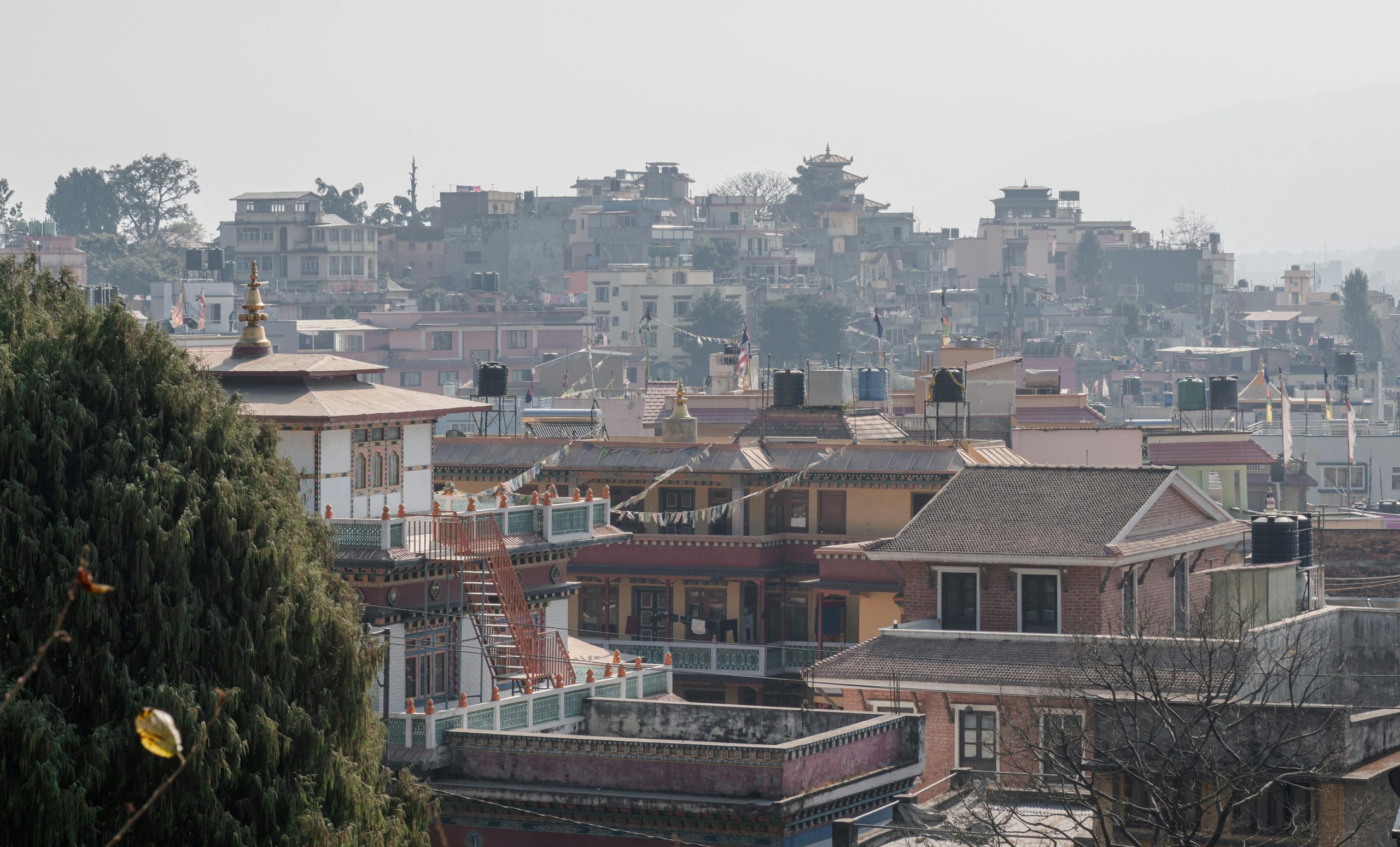 Finding the Best Japanese Consultancy in Kathmandu (2026 Updated)