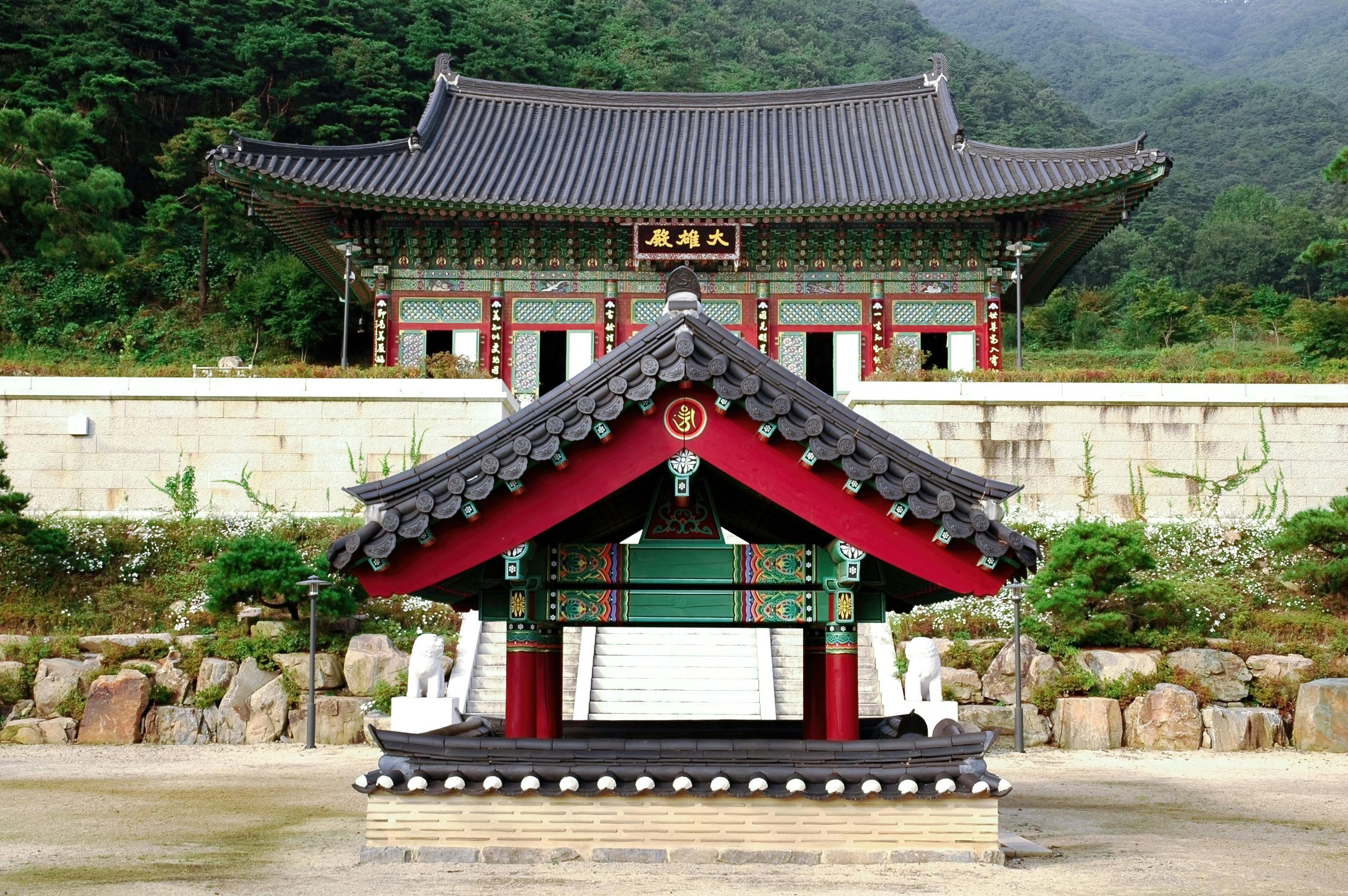Best Consultancy for South Korea in Nepal